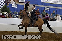 11r12_6495 proof