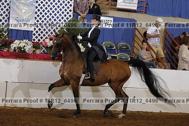 Proof 11r12_6496