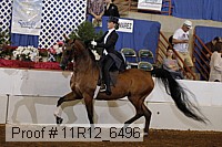 11r12_6496 proof