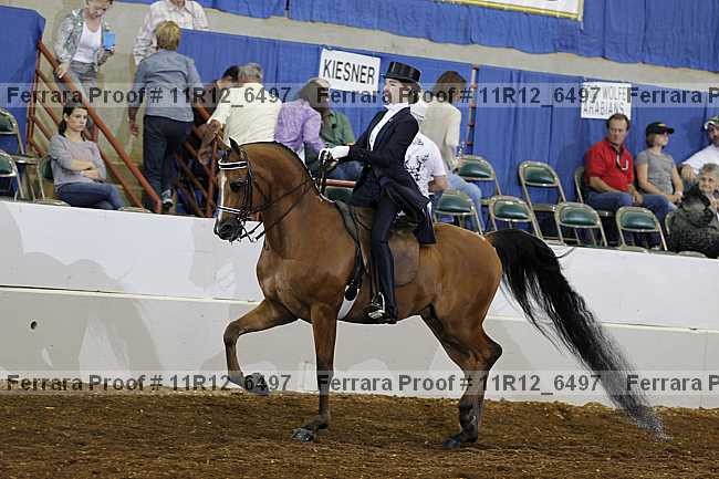 Proof 11r12_6497
