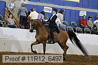 11r12_6497 proof