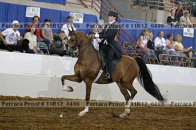 Proof 11r12_6499