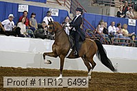 11r12_6499 proof