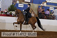 11r12_6500 proof