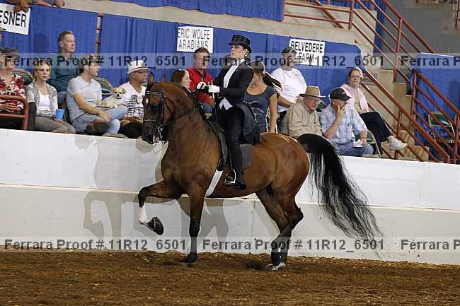 Proof 11r12_6501