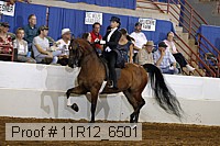 11r12_6501 proof