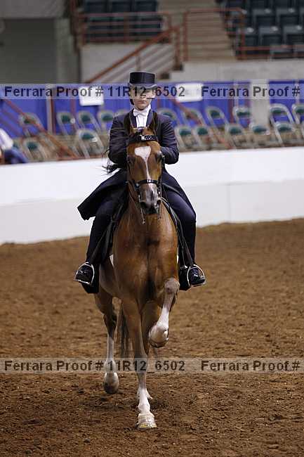 Proof 11r12_6502