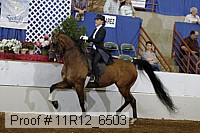 11r12_6503 proof