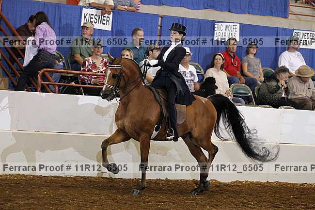Proof 11r12_6505