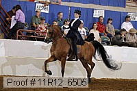 11r12_6505 proof