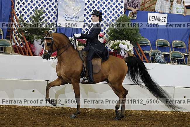 Proof 11r12_6506