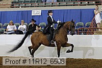 11r12_6508 proof
