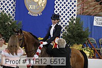 11r12_6512 proof