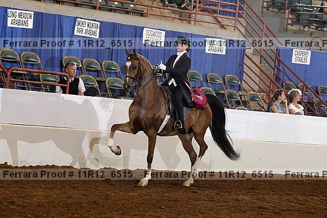 Proof 11r12_6515