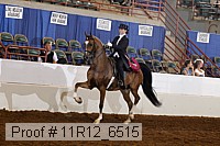 11r12_6515 proof