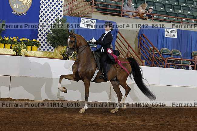 Proof 11r12_6516