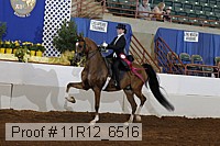 11r12_6516 proof