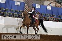 11r12_6517 proof