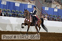11r12_6519 proof