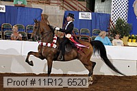 11r12_6520 proof