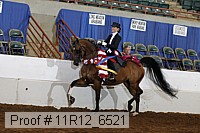 11r12_6521 proof