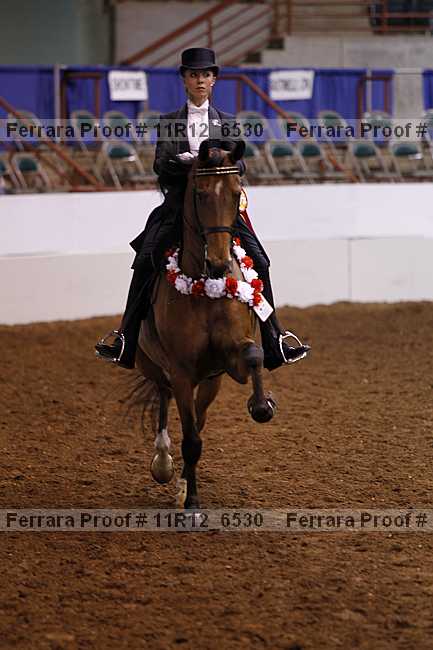 Proof 11r12_6530