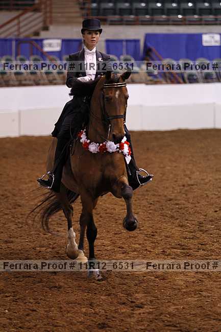 Proof 11r12_6531