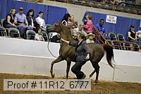 11r12_6777 proof