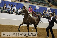 11r12_6782 proof