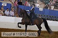 11r12_6882 proof