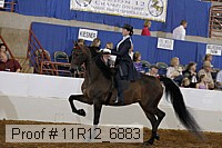 11r12_6883 proof