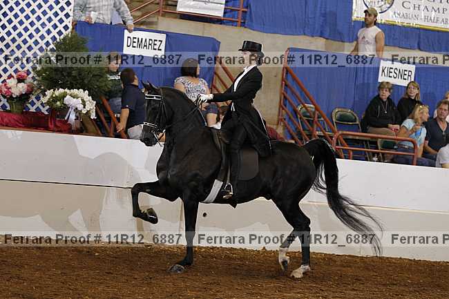 Proof 11r12_6887