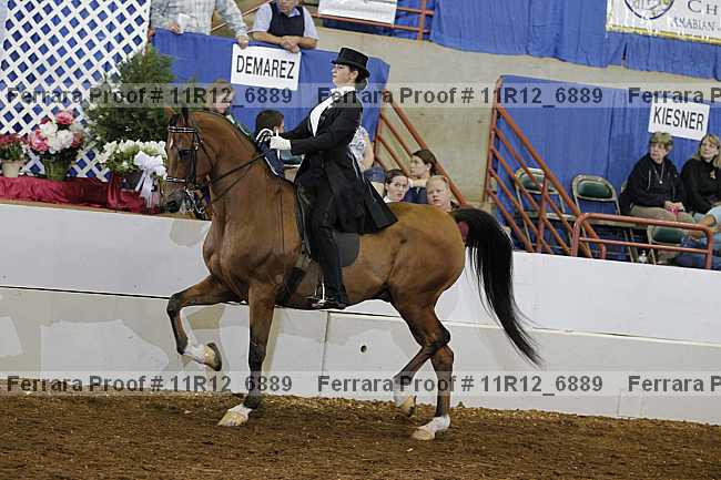 Proof 11r12_6889