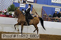 11r12_6889 proof