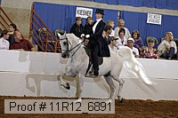 11r12_6891 proof
