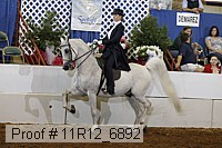 11r12_6892 proof