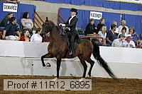 11r12_6895 proof