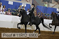 11r12_6900 proof