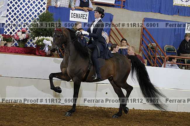 Proof 11r12_6901