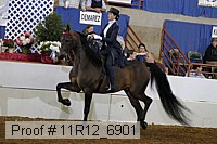 11r12_6901 proof