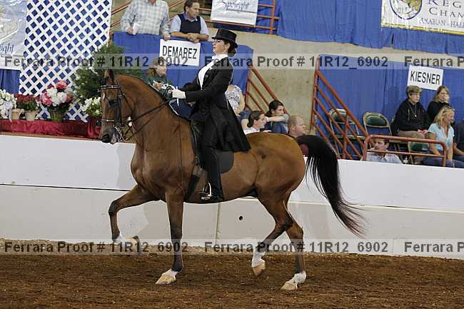 Proof 11r12_6902