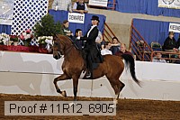 11r12_6905 proof