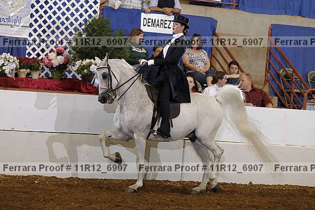 Proof 11r12_6907