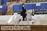 11r12_6909 proof