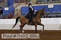 11r12_6910 proof
