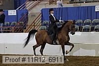 11r12_6911 proof