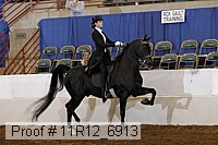 11r12_6913 proof