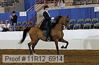 11r12_6914 proof