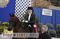 11r12_6918 proof