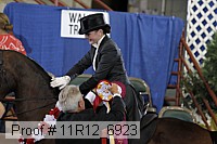11r12_6923 proof